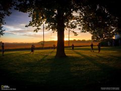 Tapeta National Geographic 683.jpg